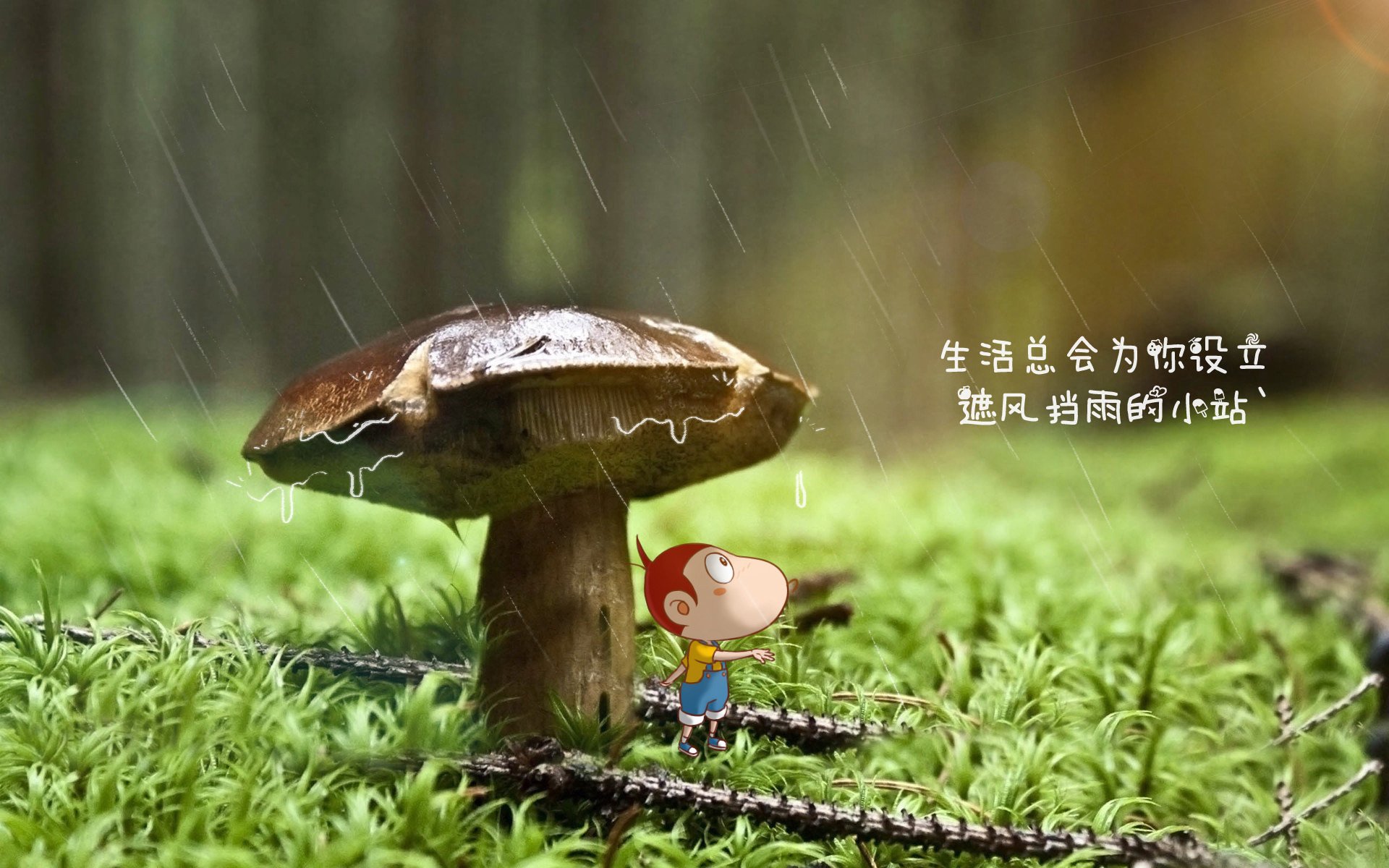 中国篮球青训课程改革，中国青少年篮球教学训练大纲