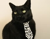 仰泳新秀波兰表现超越预期,仰泳 播放