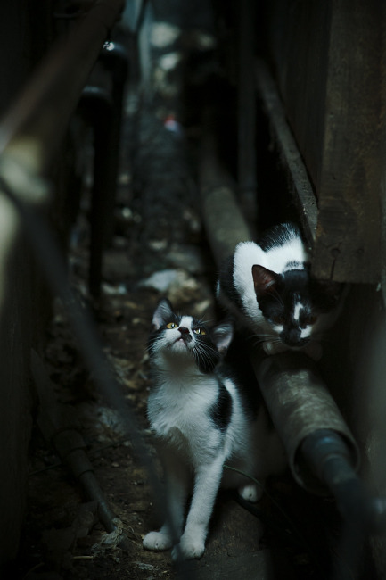 多支球队进入冲刺阶段比赛强度与对抗性显著增强,一个比赛中有冲破队突破队,你怎么选择