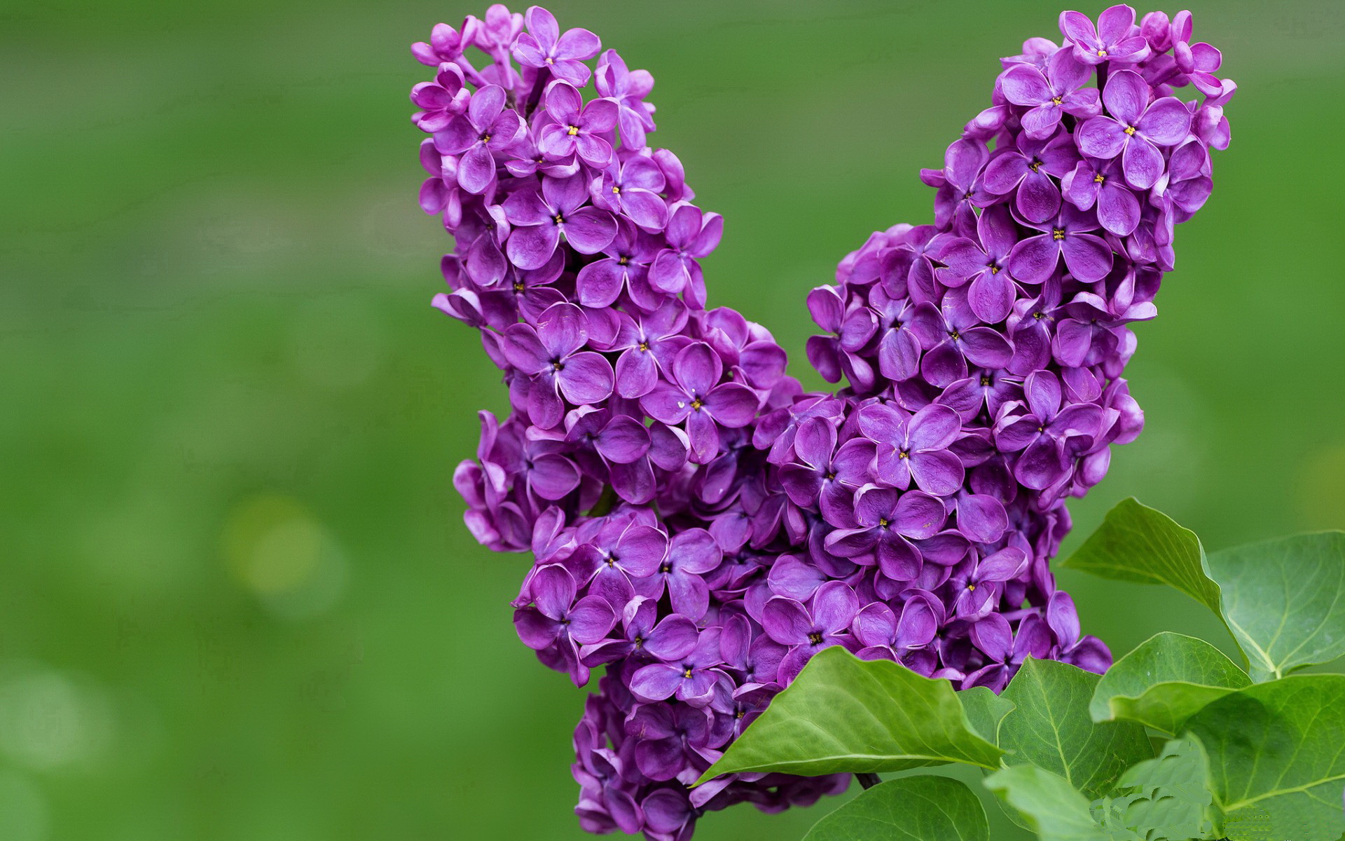 华体会官方网站-恩多比·恩乔在关键时刻的精准踢球助力南非攻克防线，恩多罗是哪个国家的城市