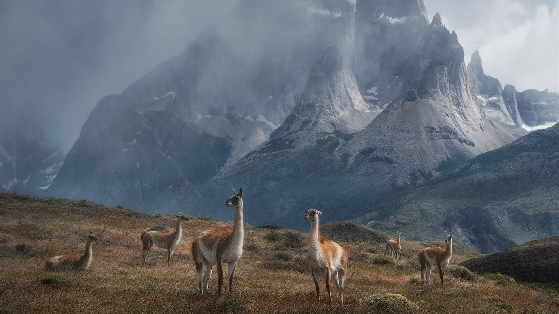 华体会官网-9月16日足彩：005阿森纳让球吃亏？，9月16日足彩推荐