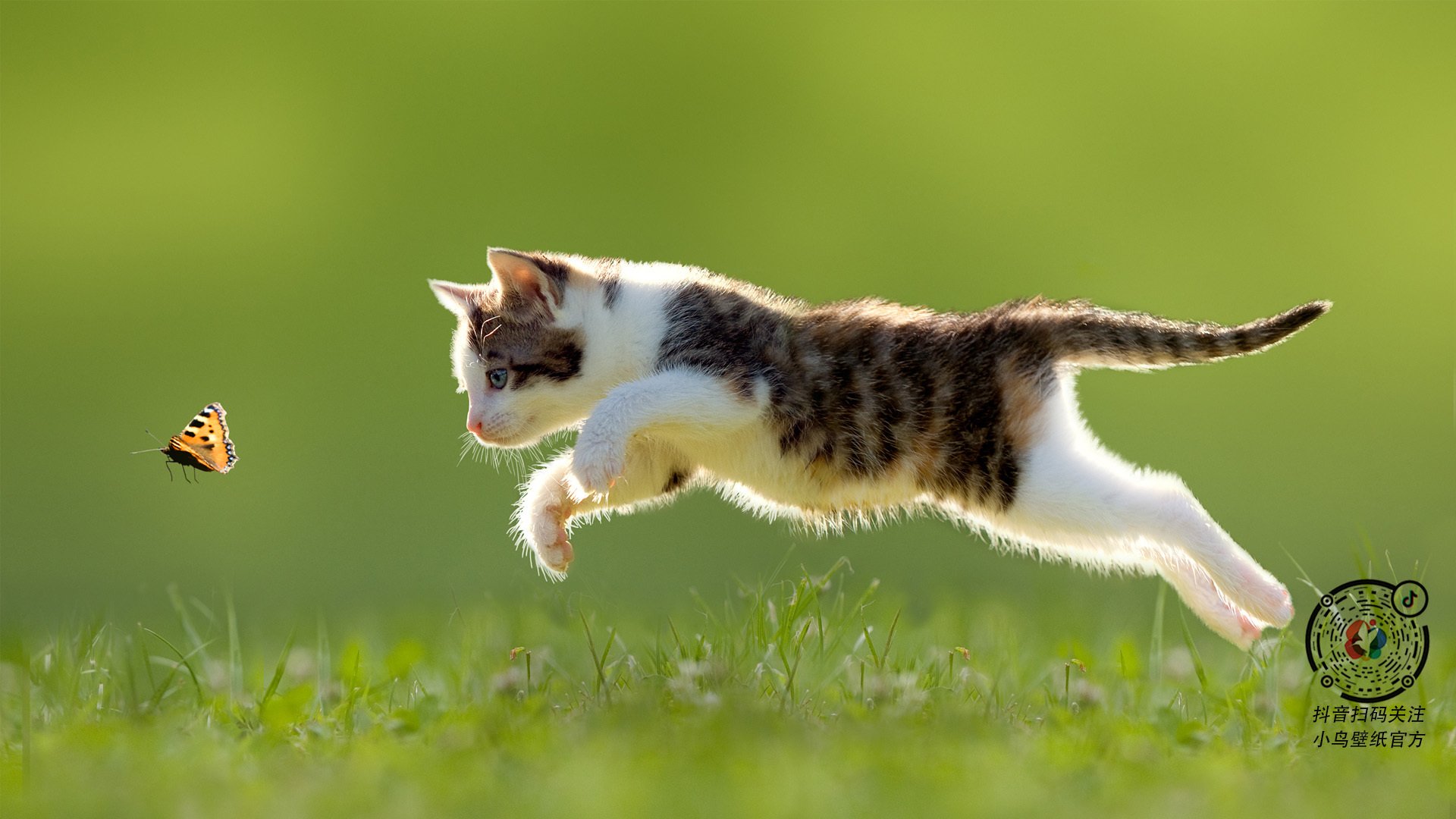 业内人士认可樊振东反手技术,状态稳步提升,樊振东反手是世界上最强的吗